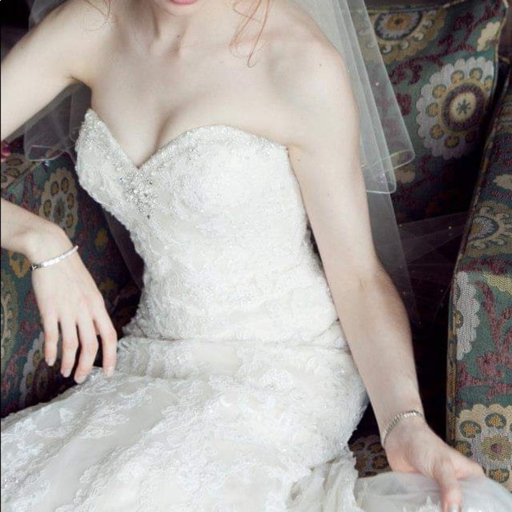 Beautiful Lace and Crystal Wedding Gown with Veil